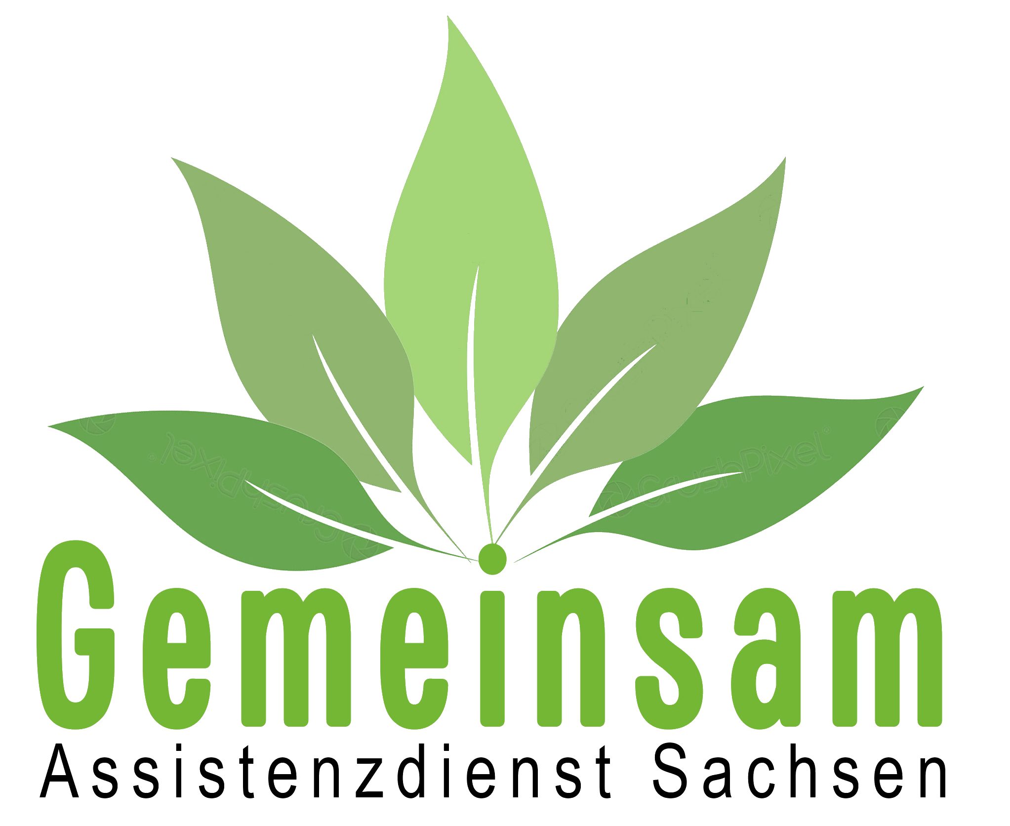 Mit dir GEMEINSAM – Assistenzdienst Sachsen